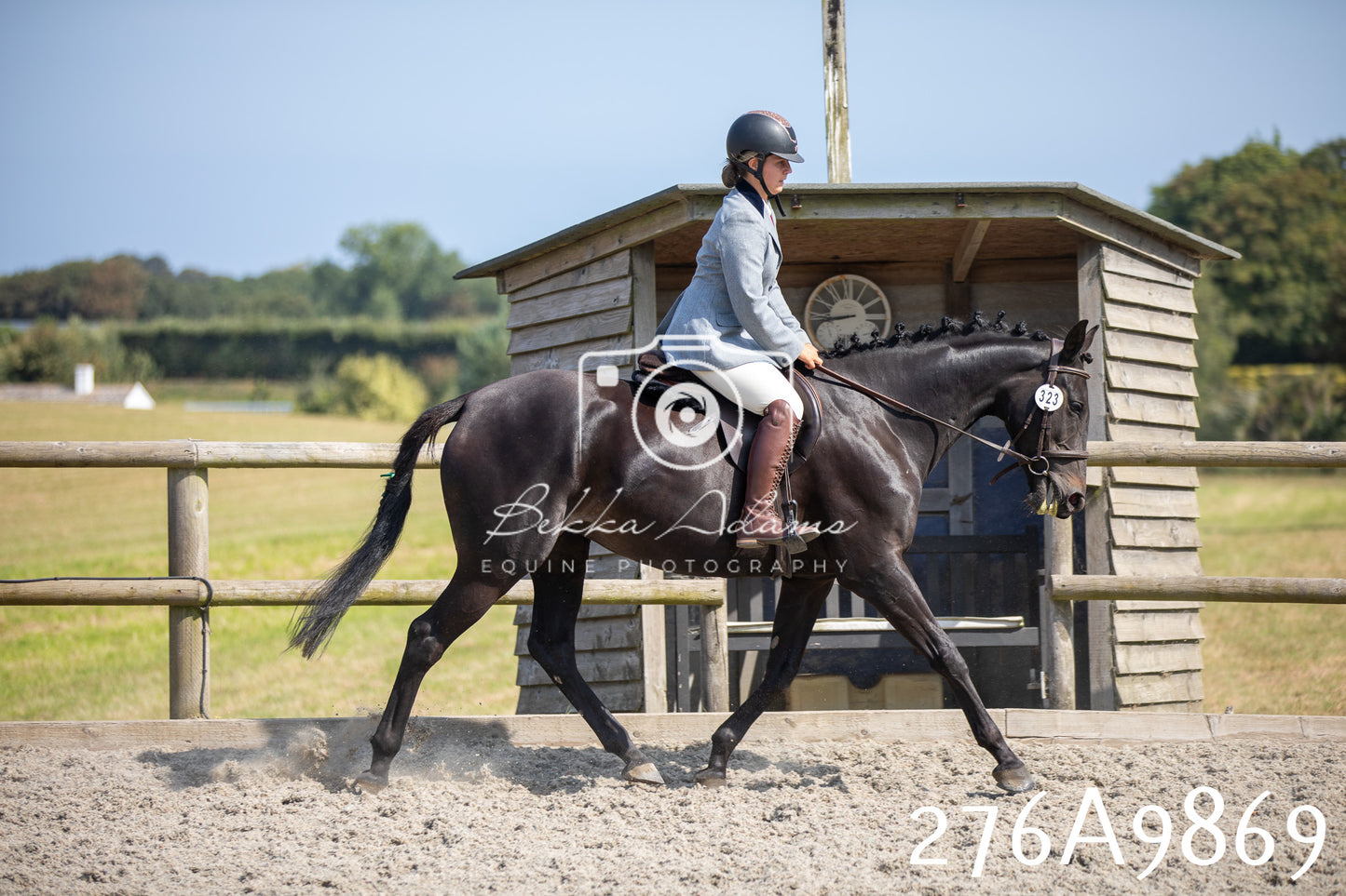Home Farm Annual Show 2025 - Ridden Pt 2