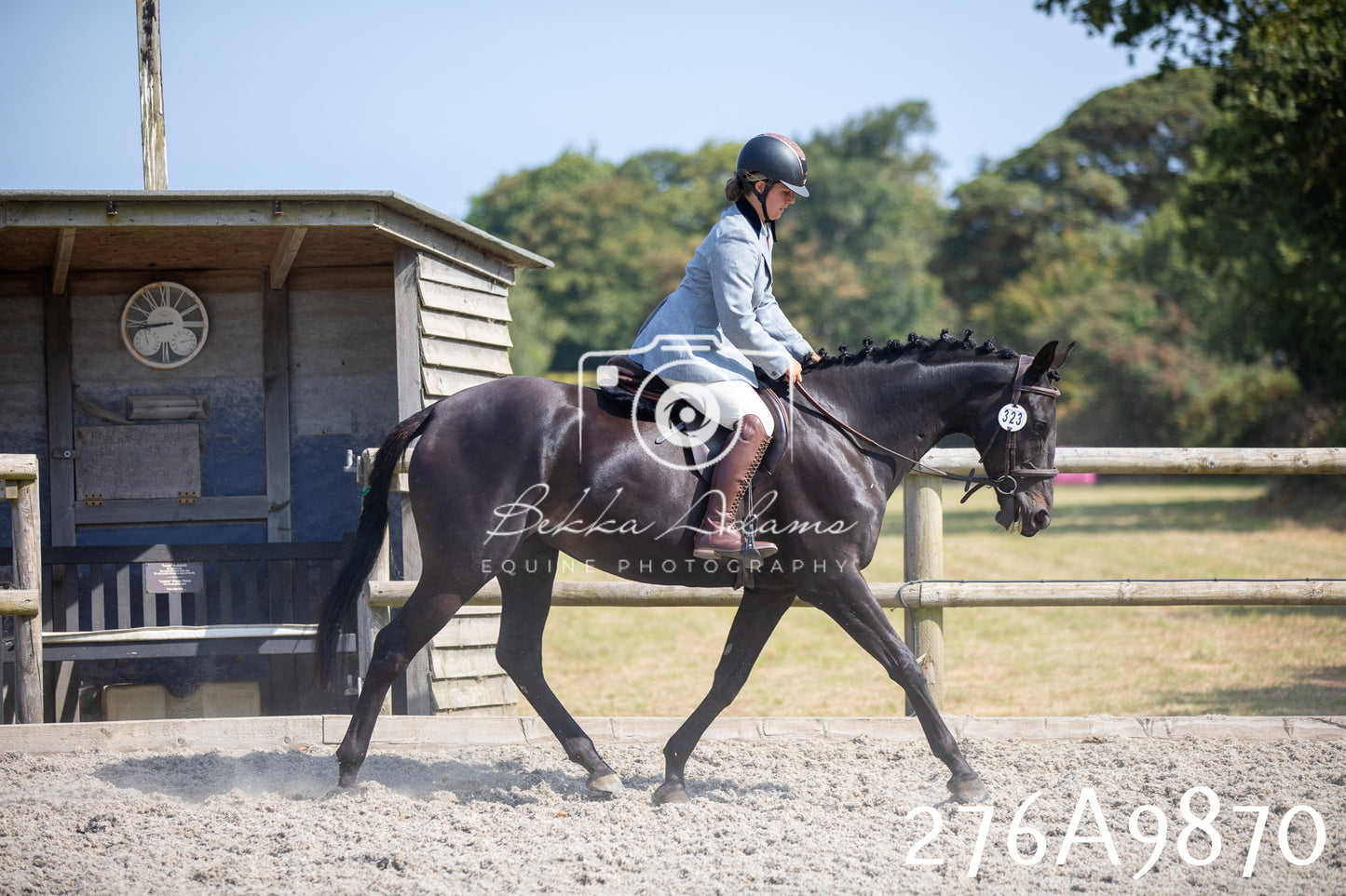 Home Farm Annual Show 2025 - Ridden Pt 2