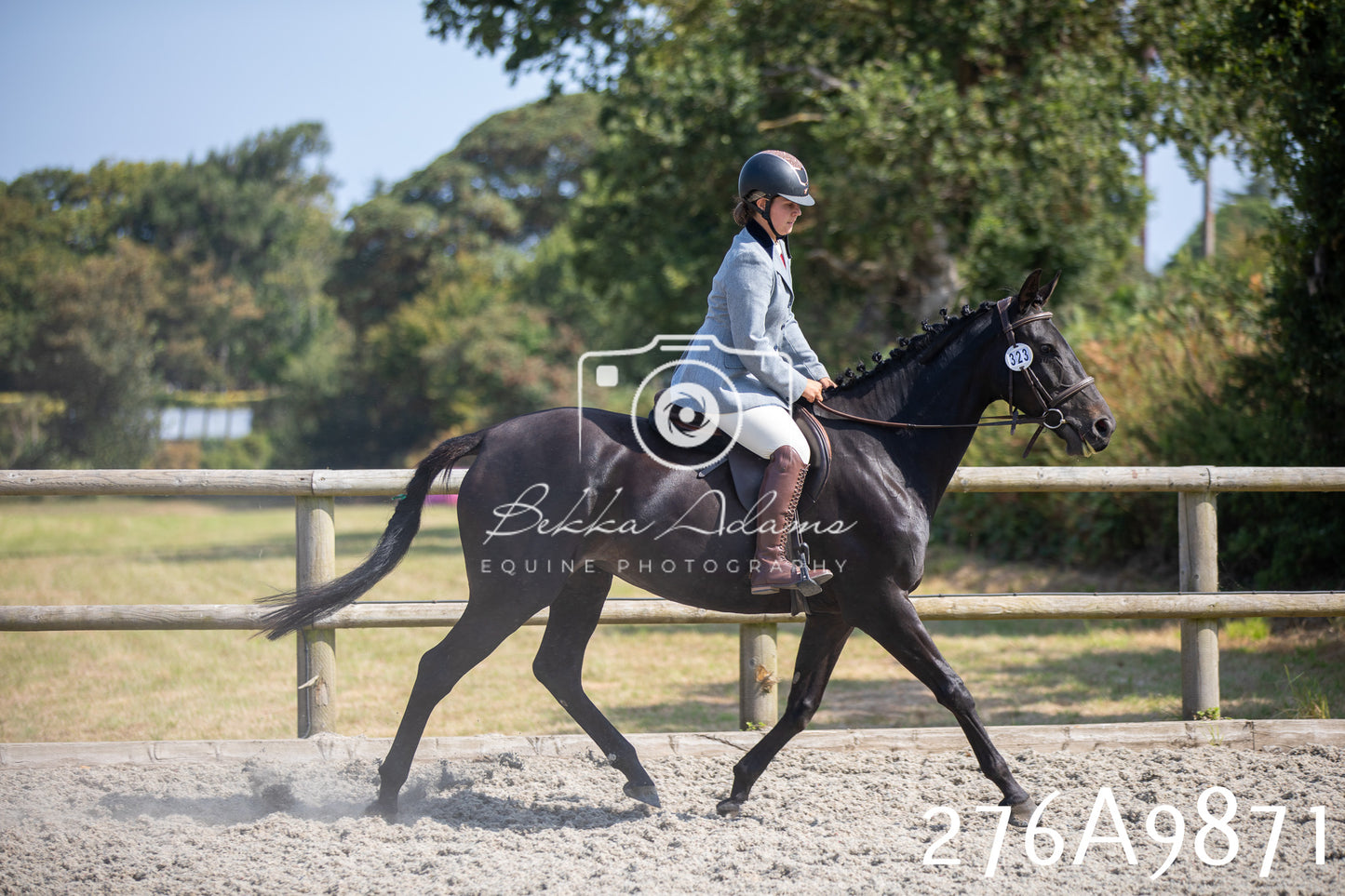 Home Farm Annual Show 2025 - Ridden Pt 2