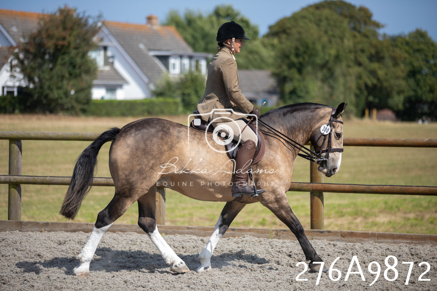 Home Farm Annual Show 2025 - Ridden Pt 2