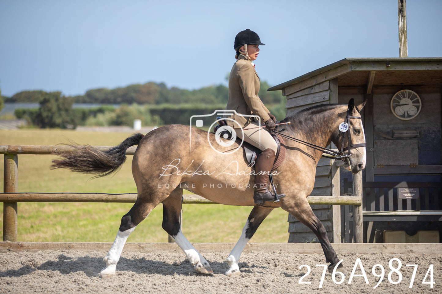 Home Farm Annual Show 2025 - Ridden Pt 2