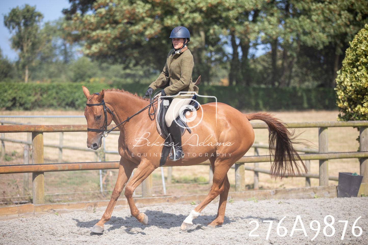 Home Farm Annual Show 2025 - Ridden Pt 2