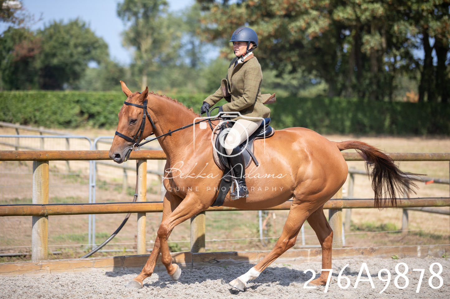 Home Farm Annual Show 2025 - Ridden Pt 2