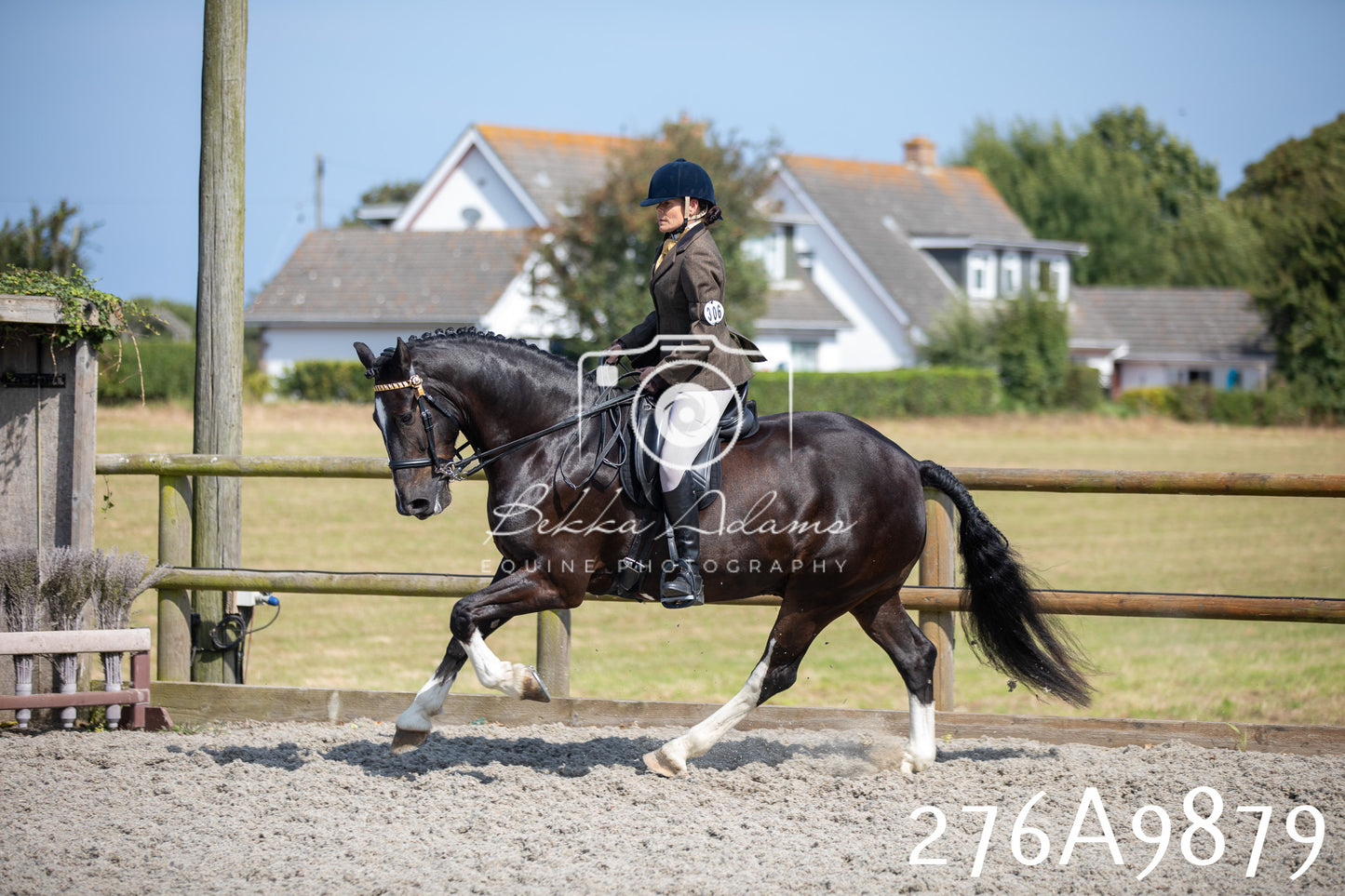 Home Farm Annual Show 2025 - Ridden Pt 2