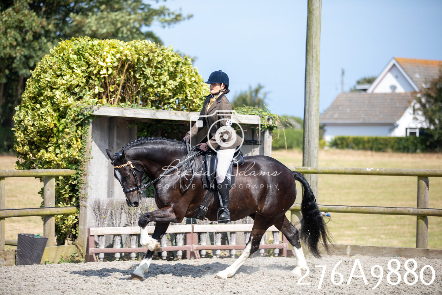 Home Farm Annual Show 2025 - Ridden Pt 2