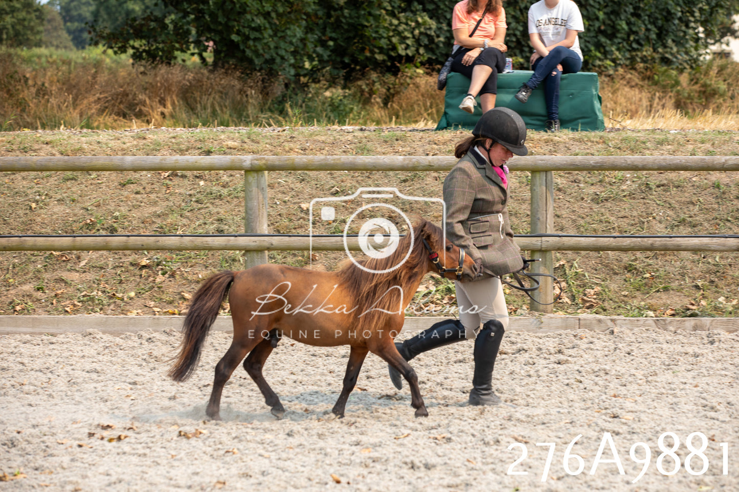 Home Farm Annual Show 2025 - Inhand Pt 2