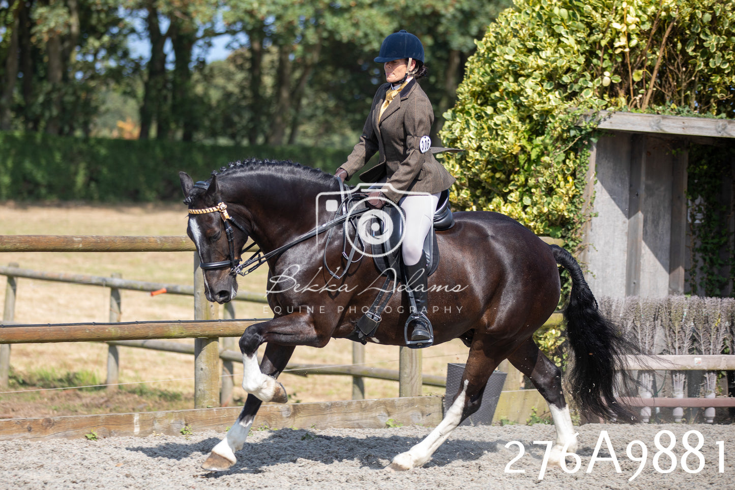 Home Farm Annual Show 2025 - Ridden Pt 2