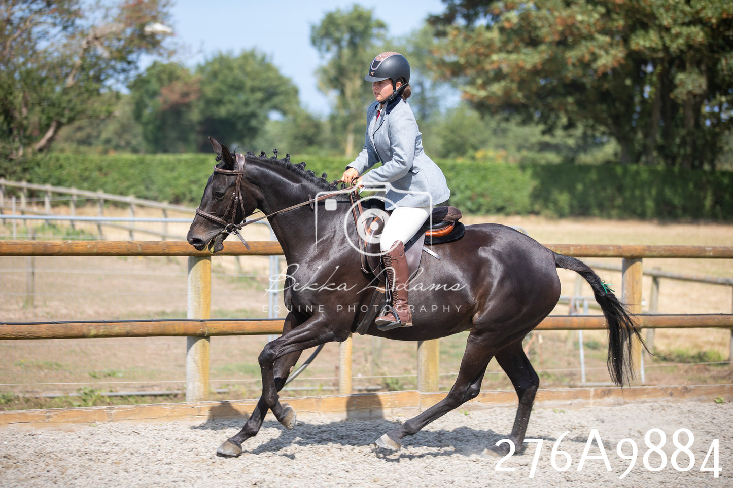 Home Farm Annual Show 2025 - Ridden Pt 2