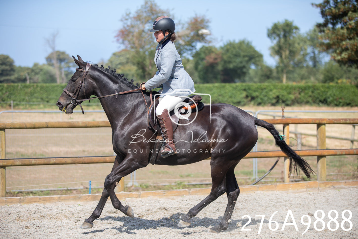 Home Farm Annual Show 2025 - Ridden Pt 2