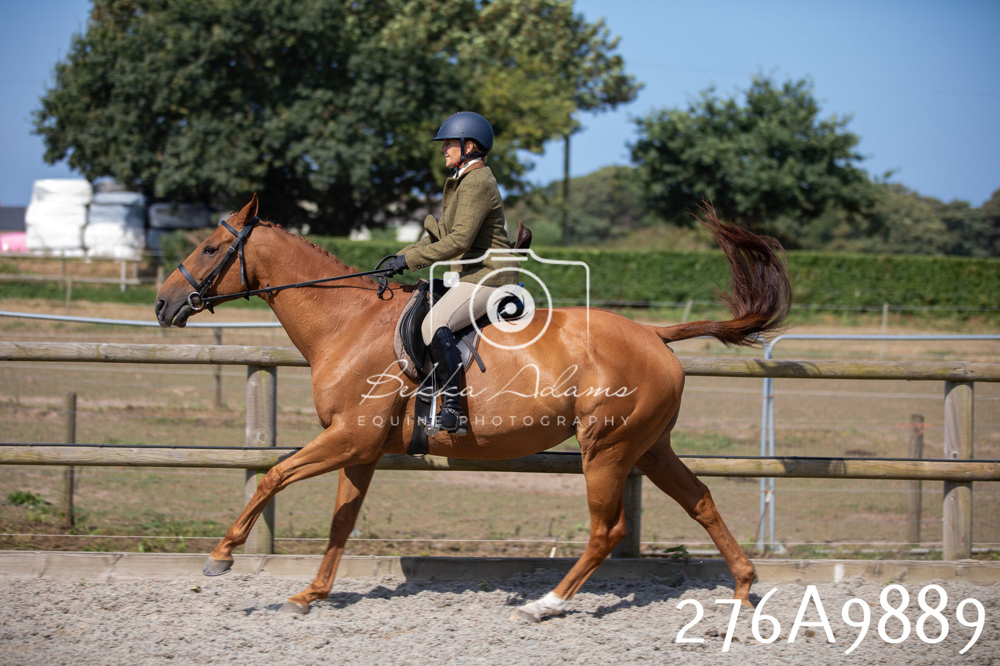 Home Farm Annual Show 2025 - Ridden Pt 2