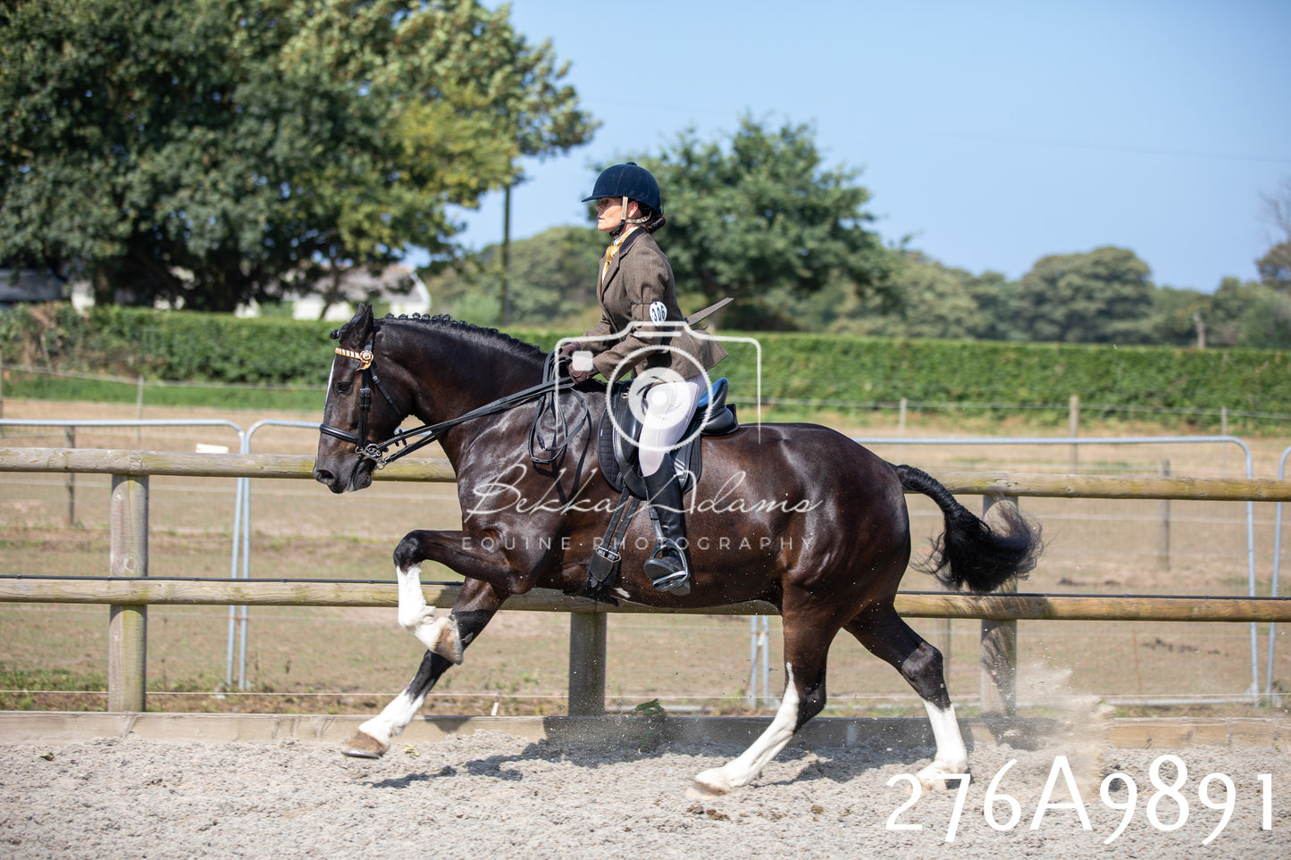 Home Farm Annual Show 2025 - Ridden Pt 2