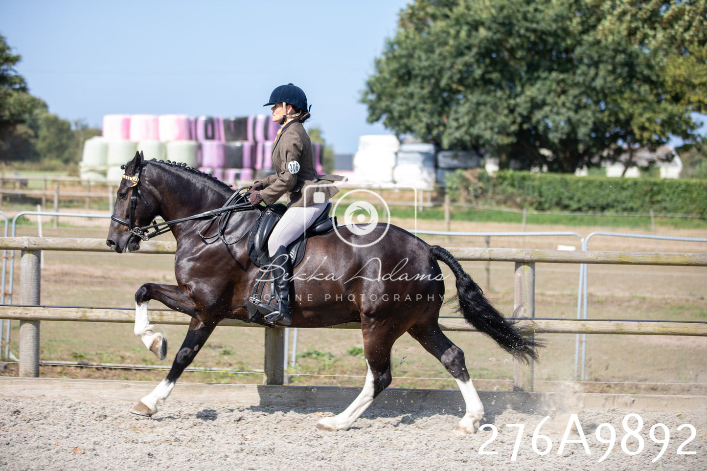 Home Farm Annual Show 2025 - Ridden Pt 2