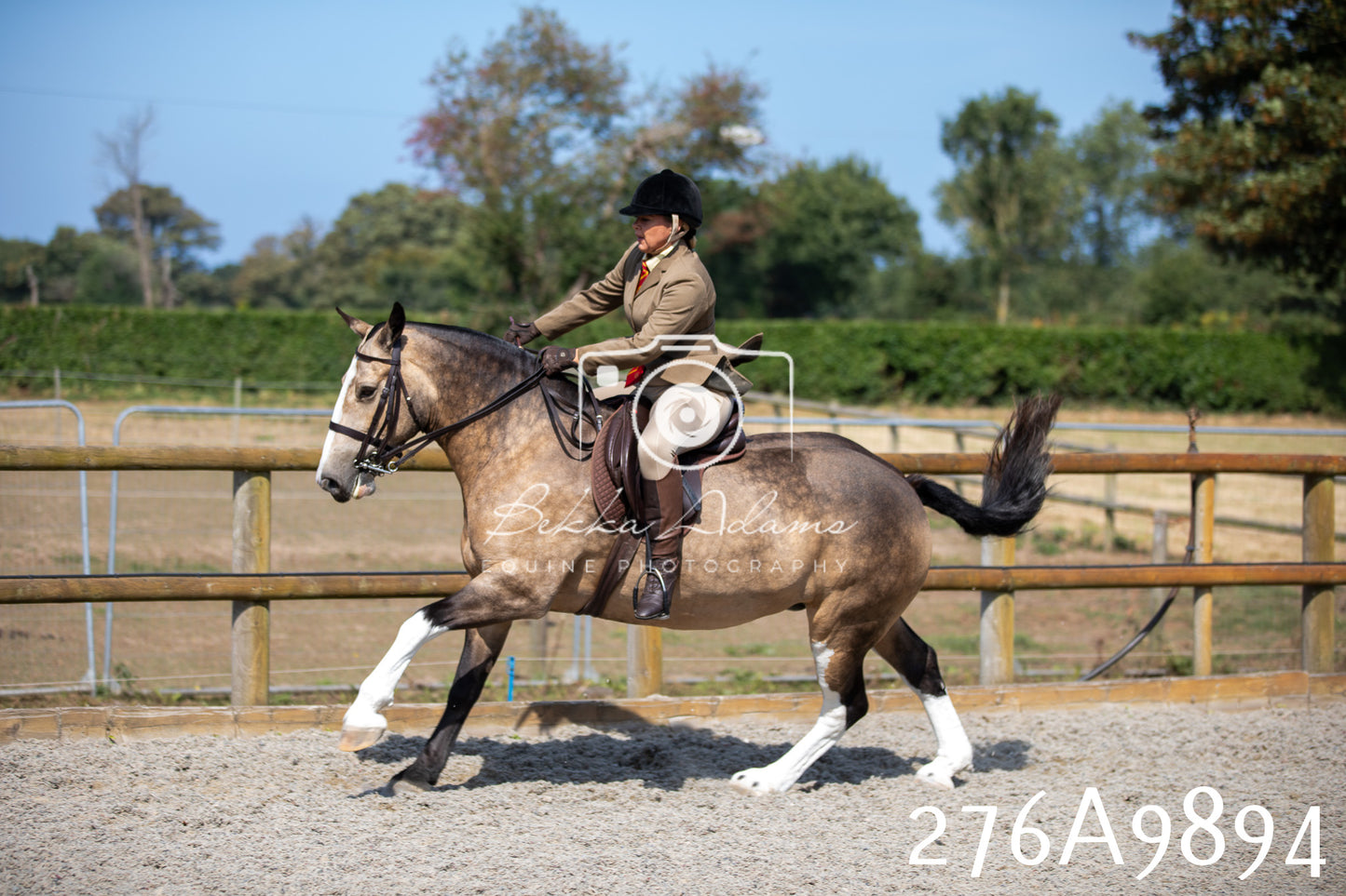 Home Farm Annual Show 2025 - Ridden Pt 2