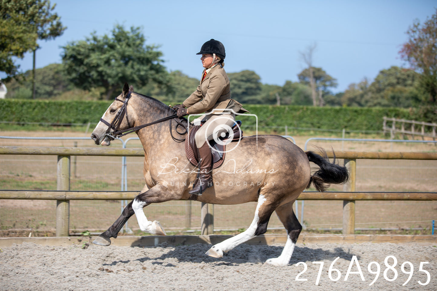 Home Farm Annual Show 2025 - Ridden Pt 2