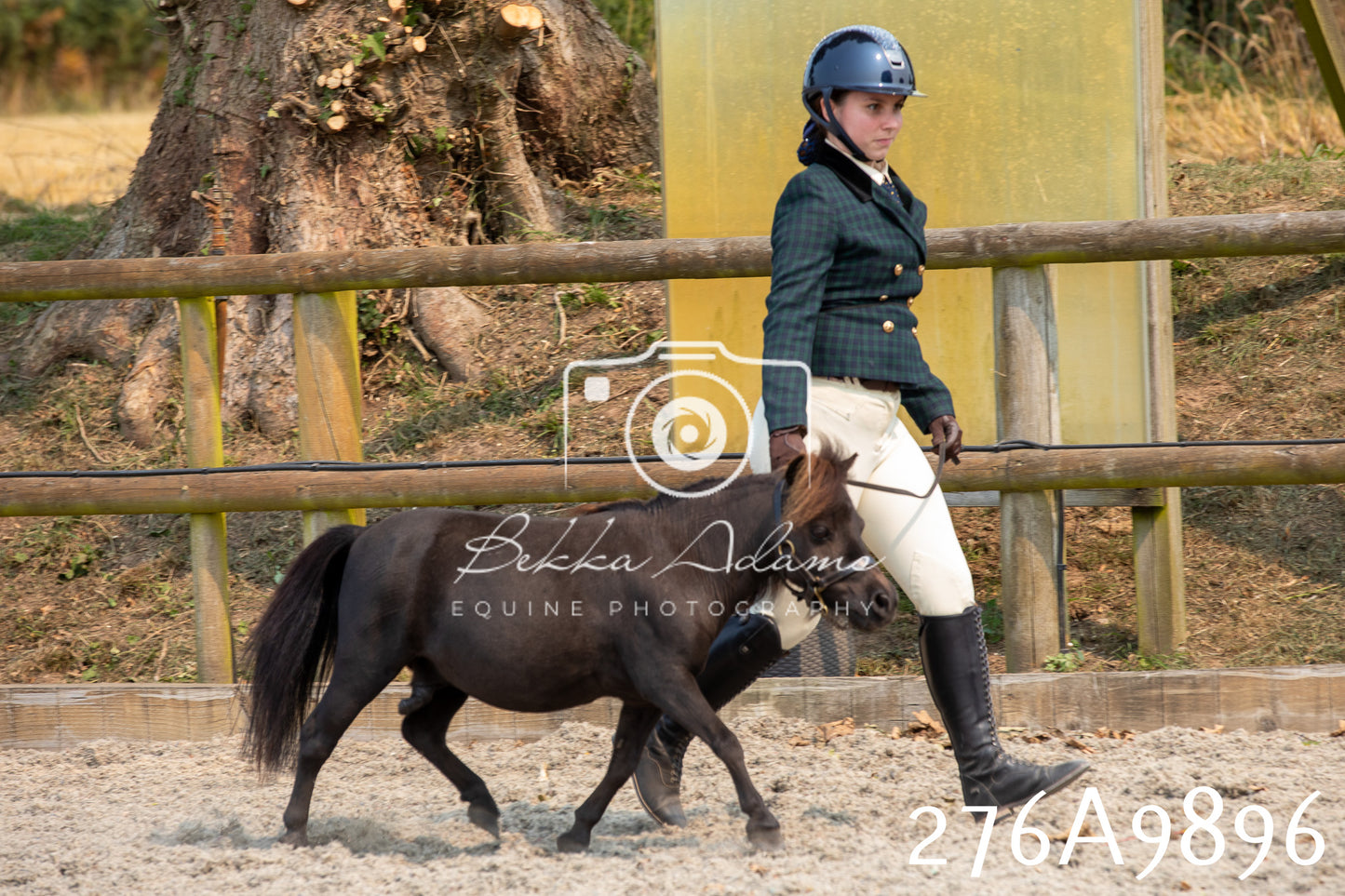 Home Farm Annual Show 2025 - Inhand Pt 2