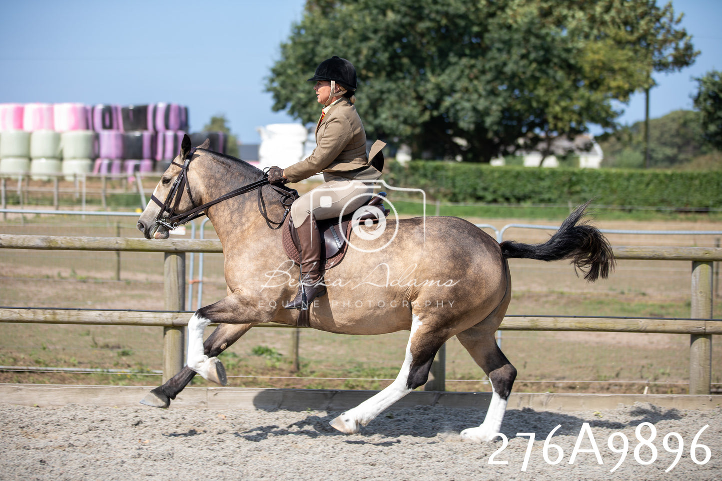 Home Farm Annual Show 2025 - Ridden Pt 2