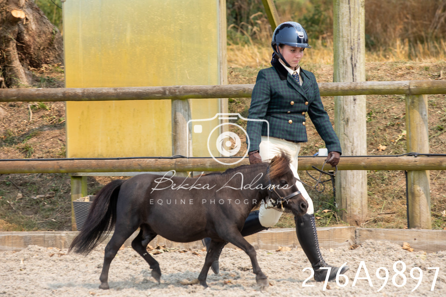 Home Farm Annual Show 2025 - Inhand Pt 2
