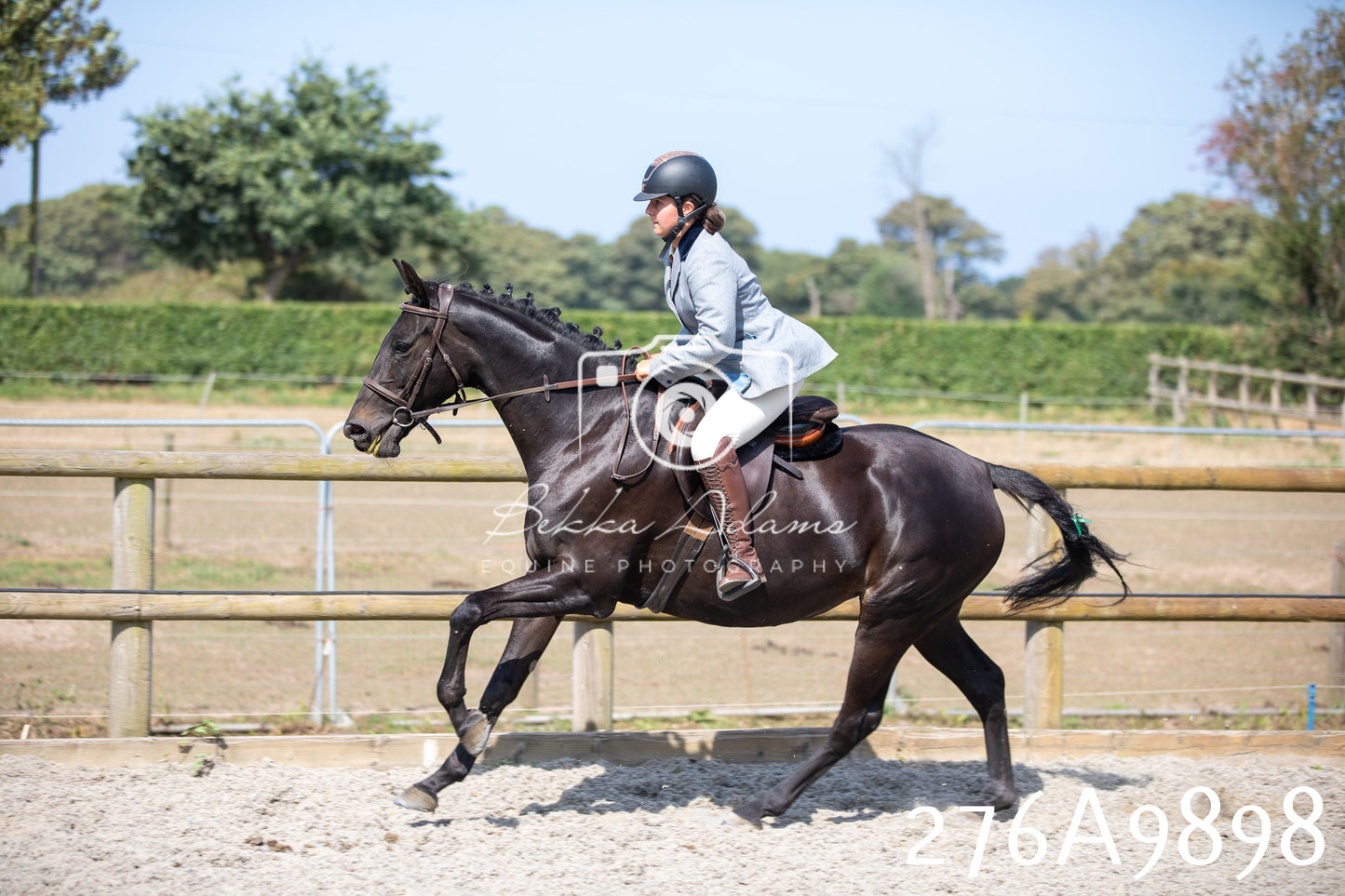 Home Farm Annual Show 2025 - Ridden Pt 2