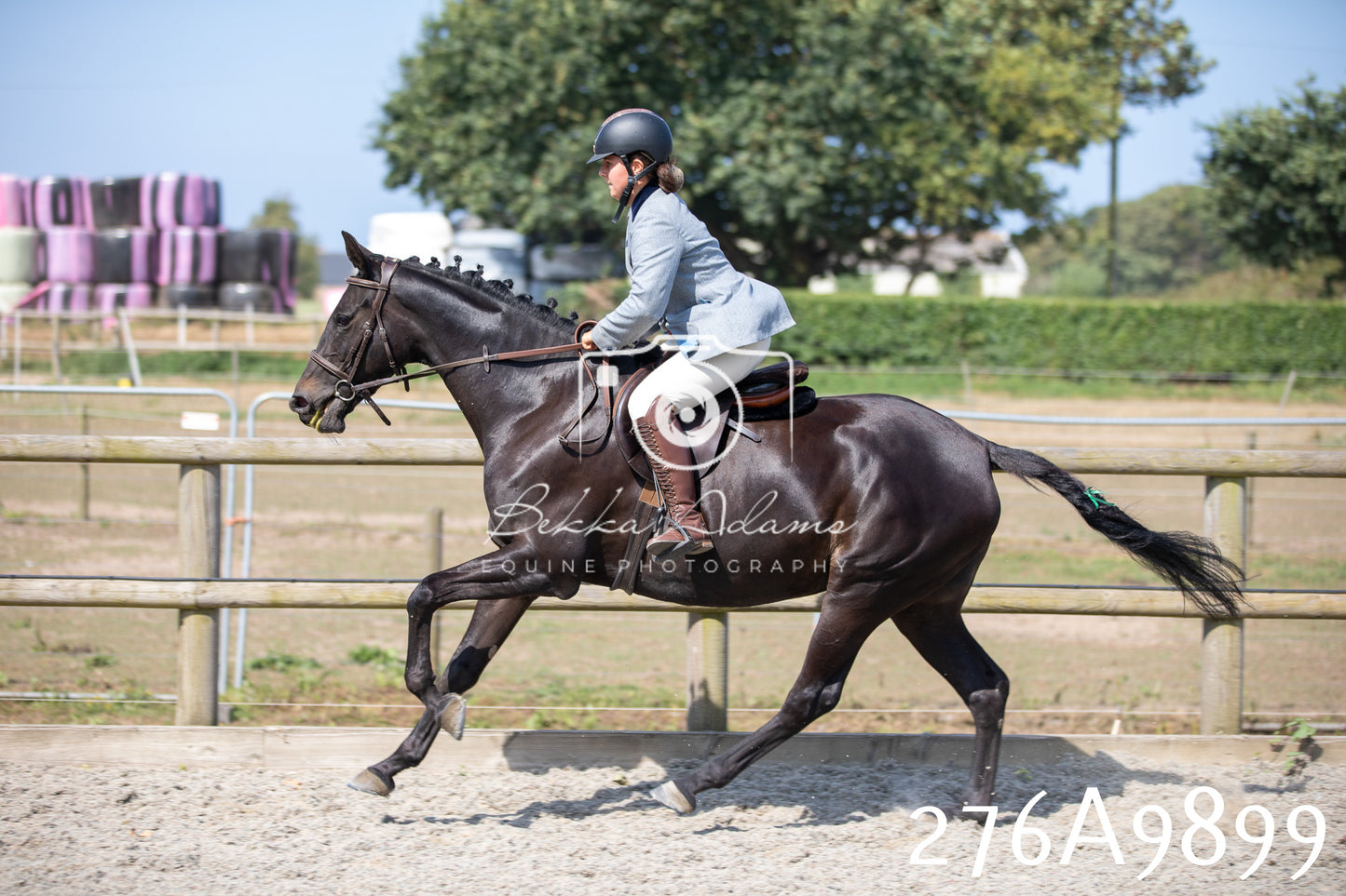 Home Farm Annual Show 2025 - Ridden Pt 2