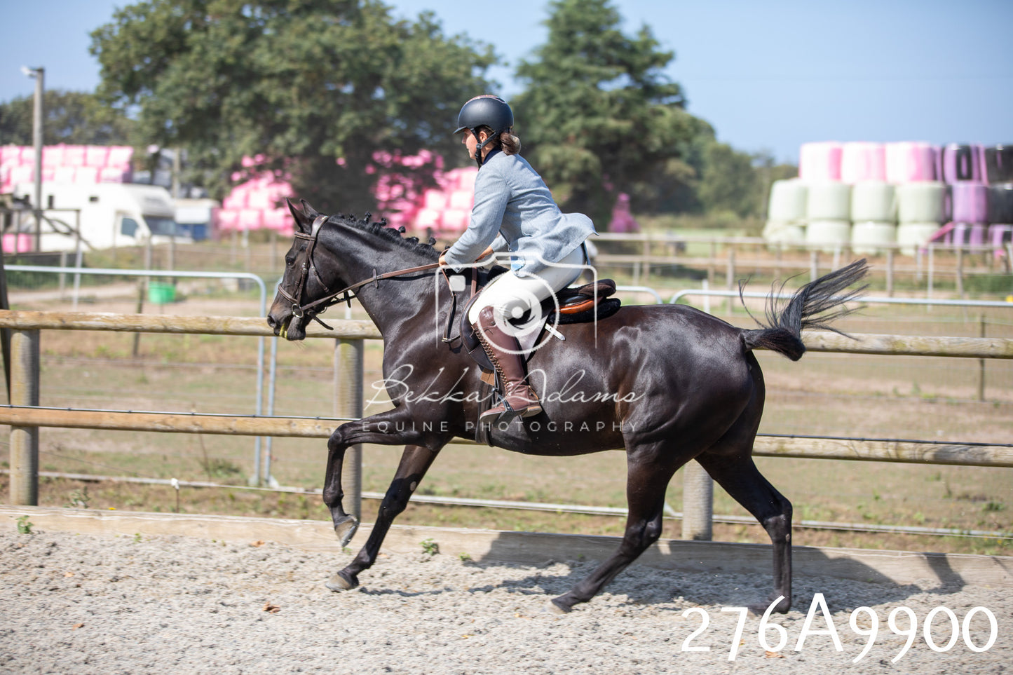 Home Farm Annual Show 2025 - Ridden Pt 2
