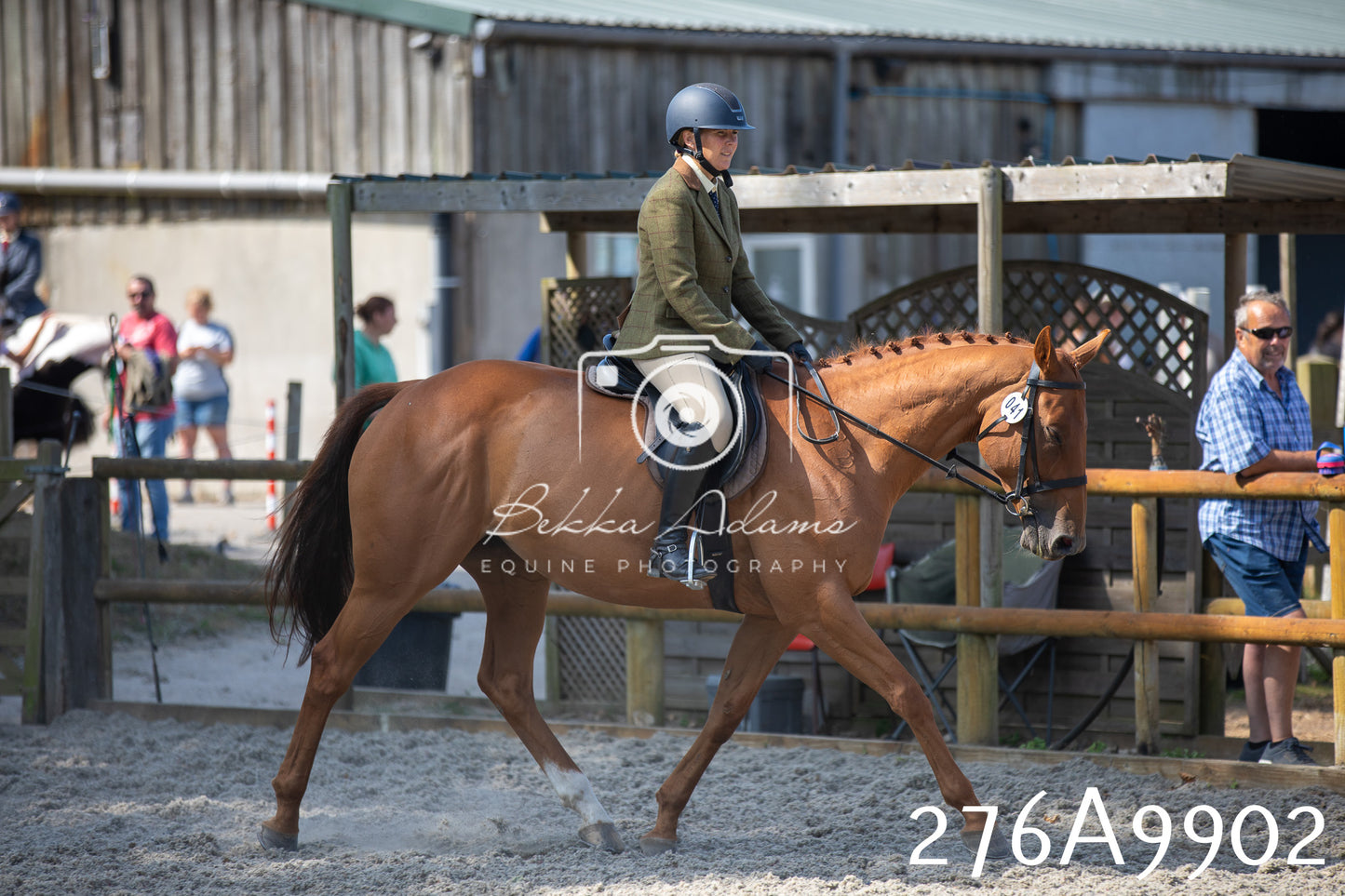 Home Farm Annual Show 2025 - Ridden Pt 2
