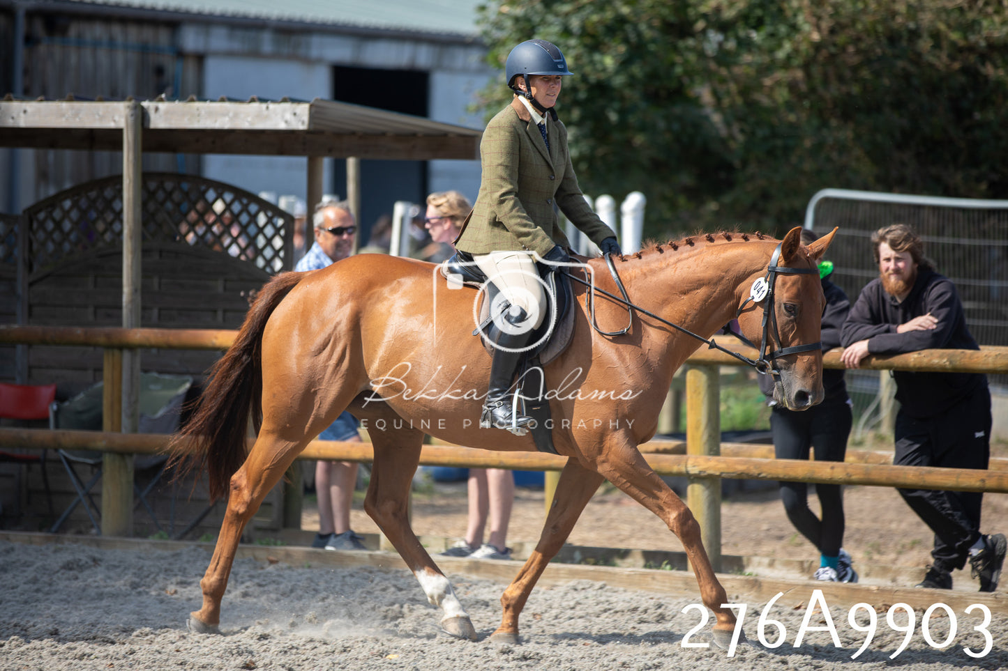 Home Farm Annual Show 2025 - Ridden Pt 2