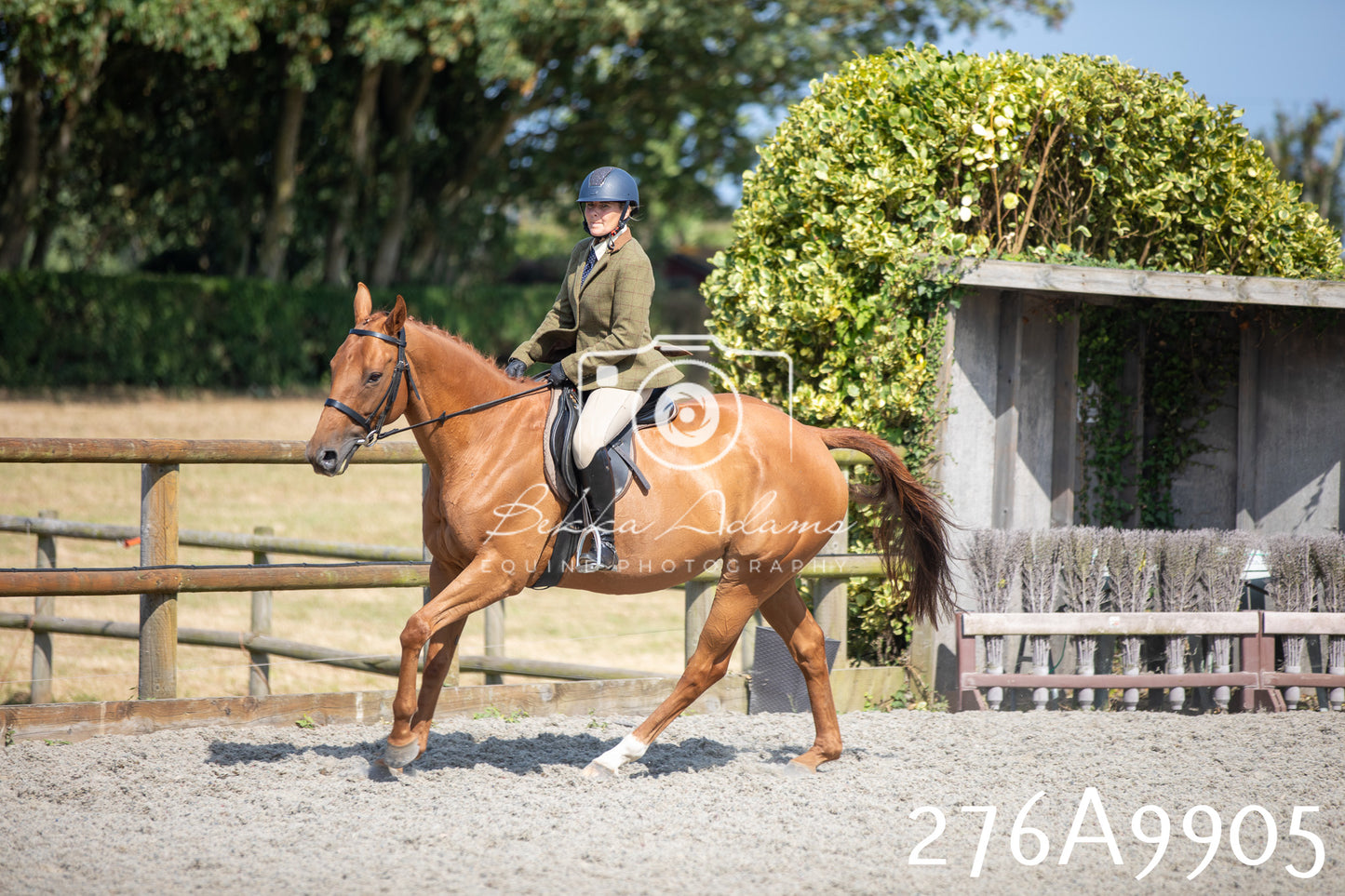 Home Farm Annual Show 2025 - Ridden Pt 2