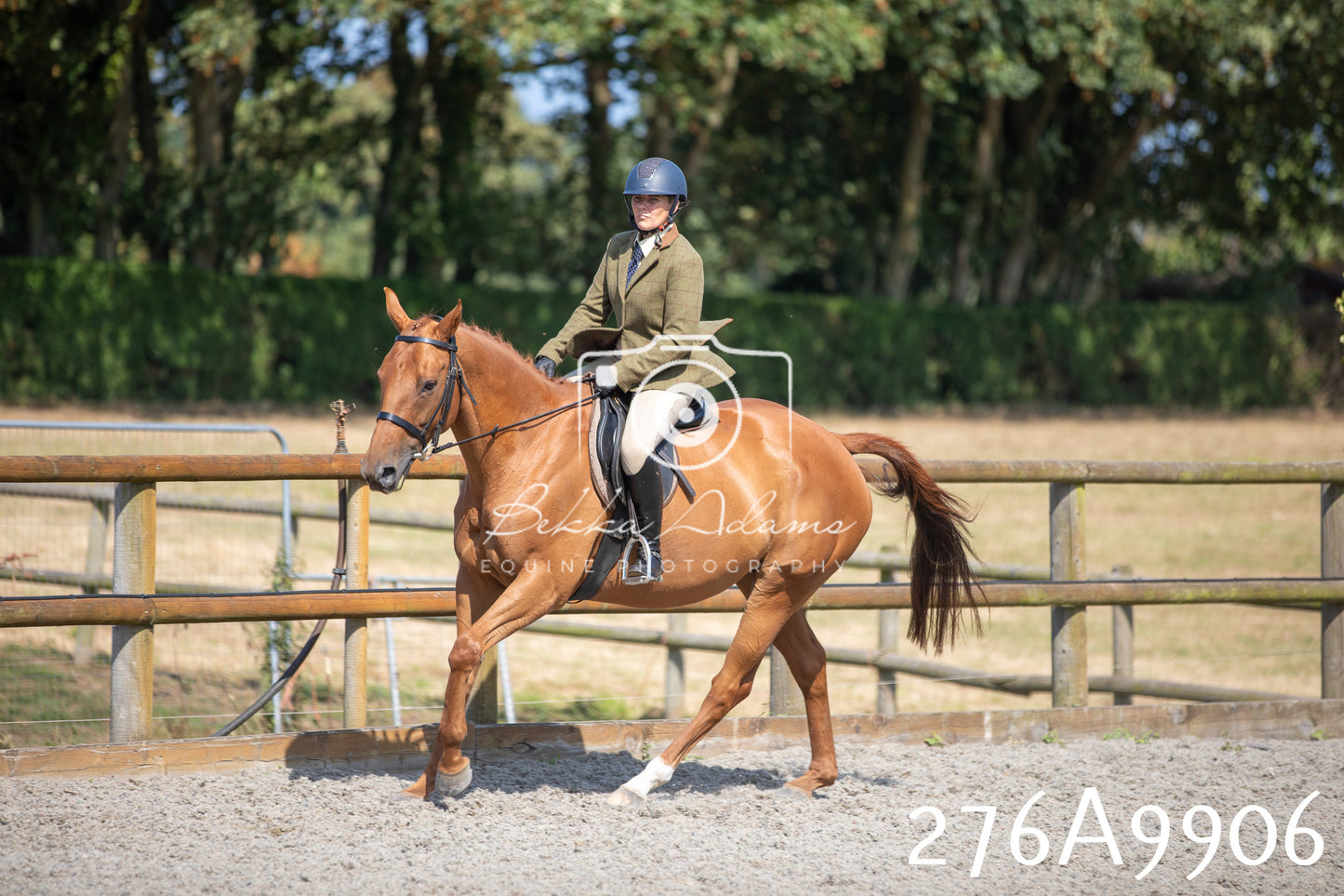 Home Farm Annual Show 2025 - Ridden Pt 2