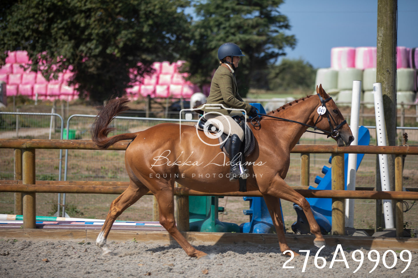 Home Farm Annual Show 2025 - Ridden Pt 2