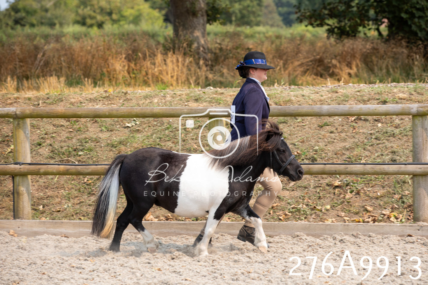 Home Farm Annual Show 2025 - Inhand Pt 2