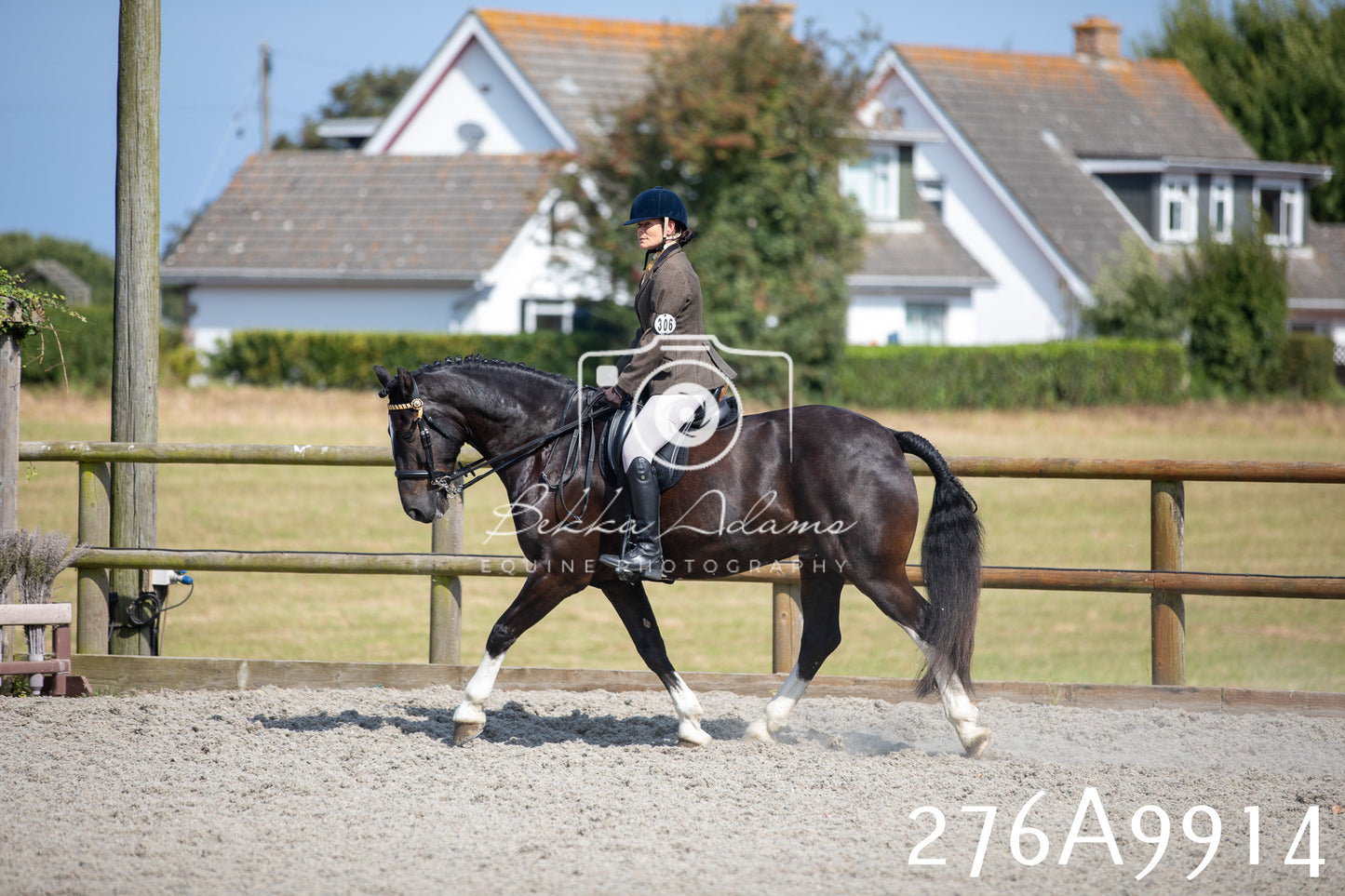 Home Farm Annual Show 2025 - Ridden Pt 2
