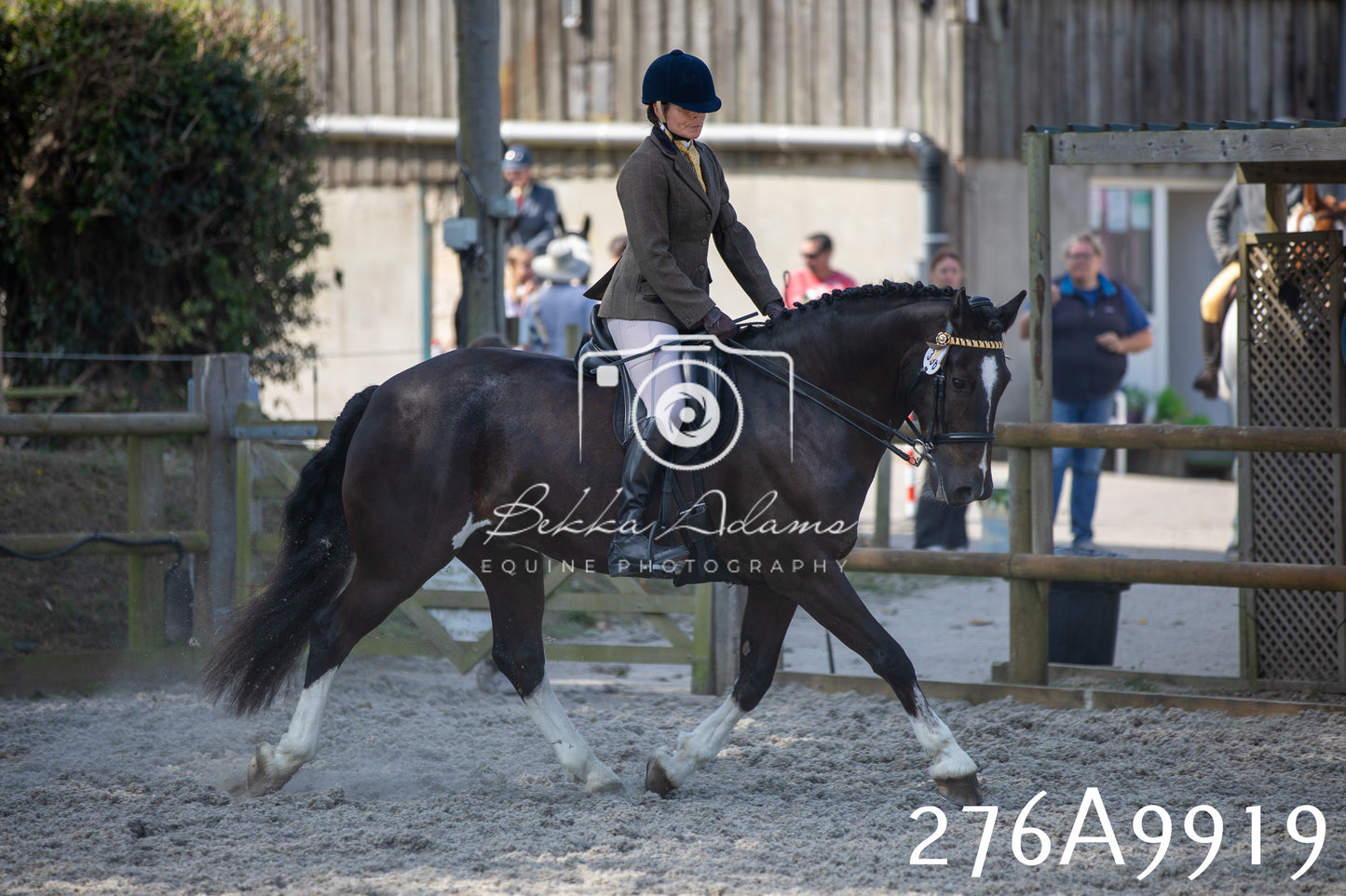 Home Farm Annual Show 2025 - Ridden Pt 2