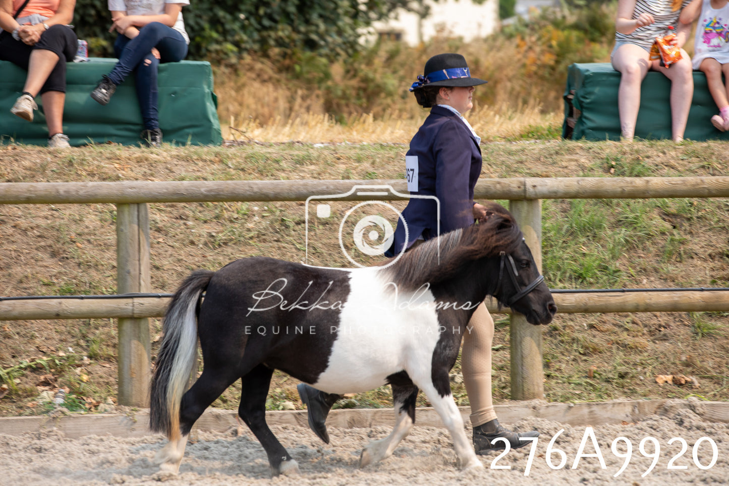 Home Farm Annual Show 2025 - Inhand Pt 2