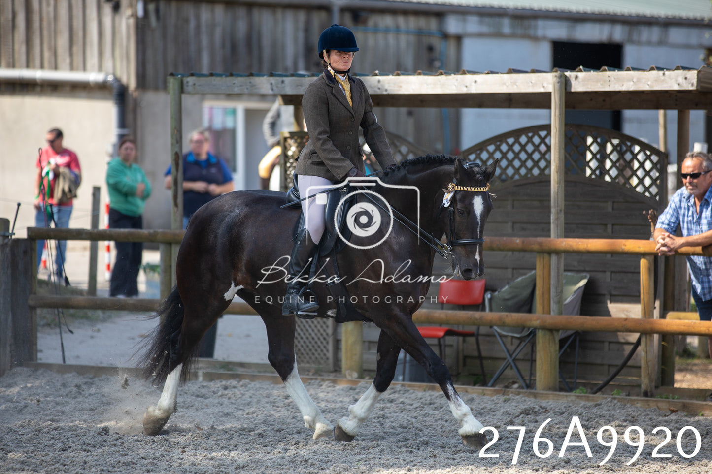 Home Farm Annual Show 2025 - Ridden Pt 2