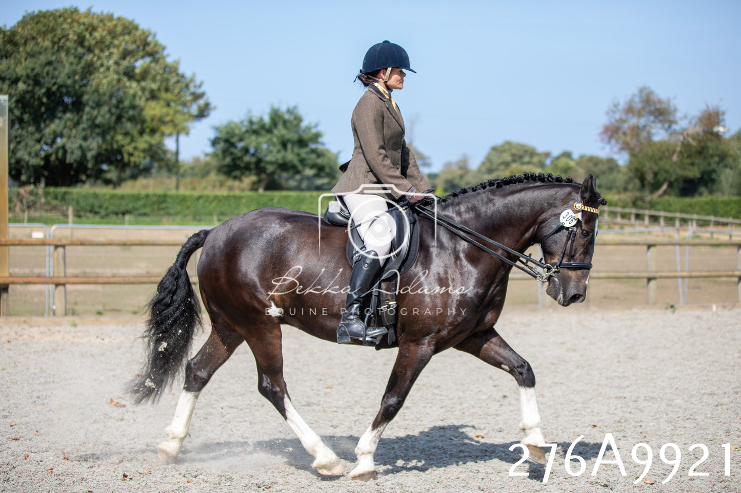 Home Farm Annual Show 2025 - Ridden Pt 2