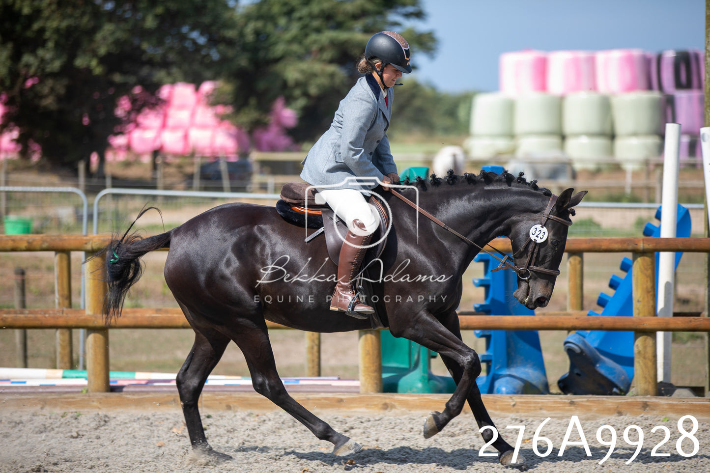 Home Farm Annual Show 2025 - Ridden Pt 2