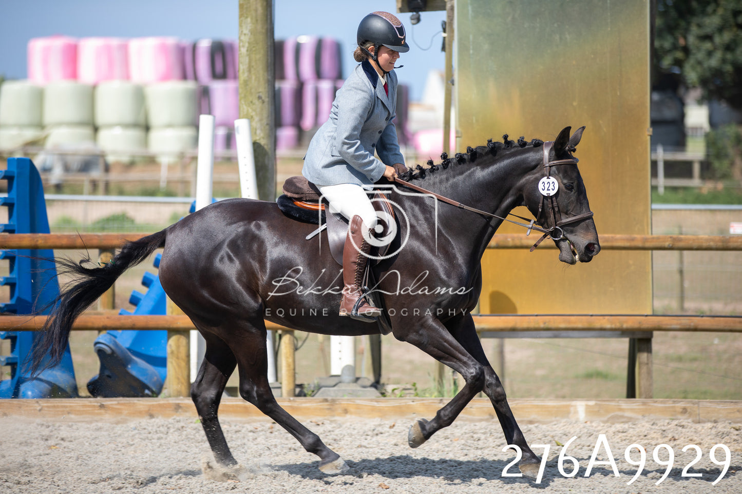 Home Farm Annual Show 2025 - Ridden Pt 2