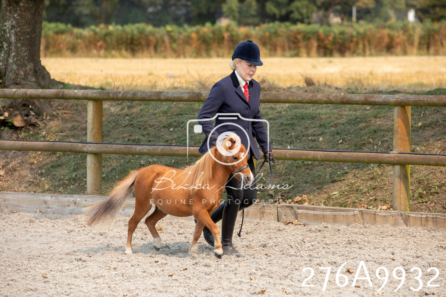 Home Farm Annual Show 2025 - Inhand Pt 2