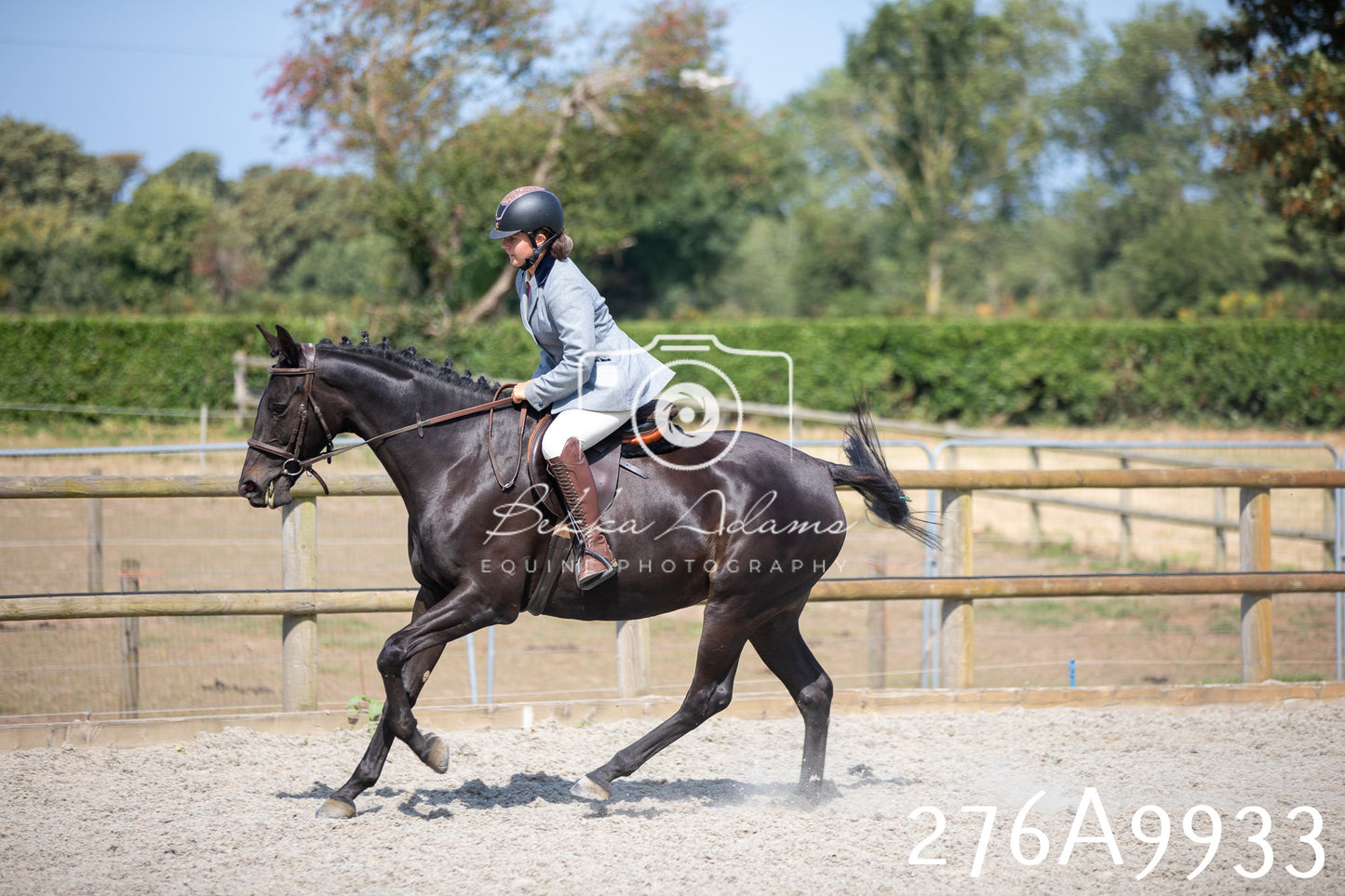 Home Farm Annual Show 2025 - Ridden Pt 2