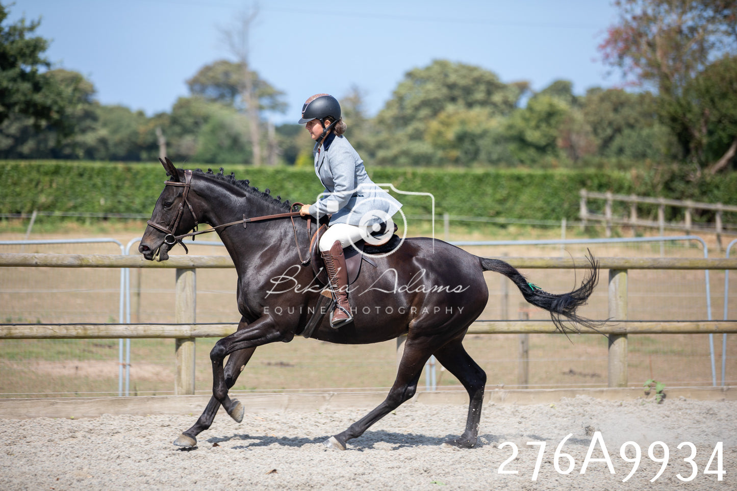 Home Farm Annual Show 2025 - Ridden Pt 2