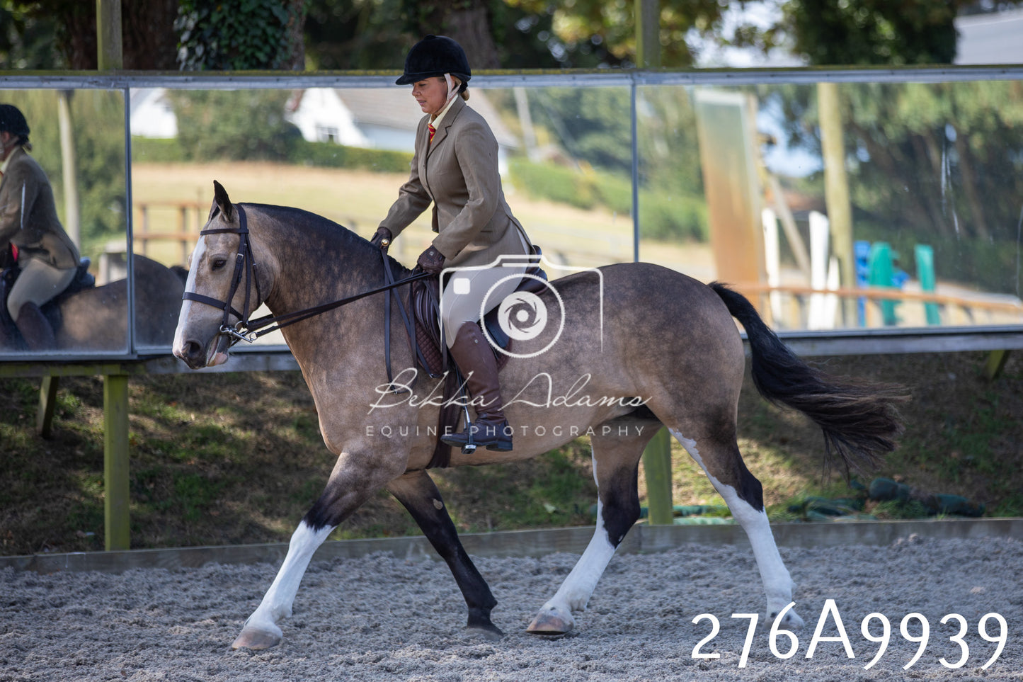 Home Farm Annual Show 2025 - Ridden Pt 2