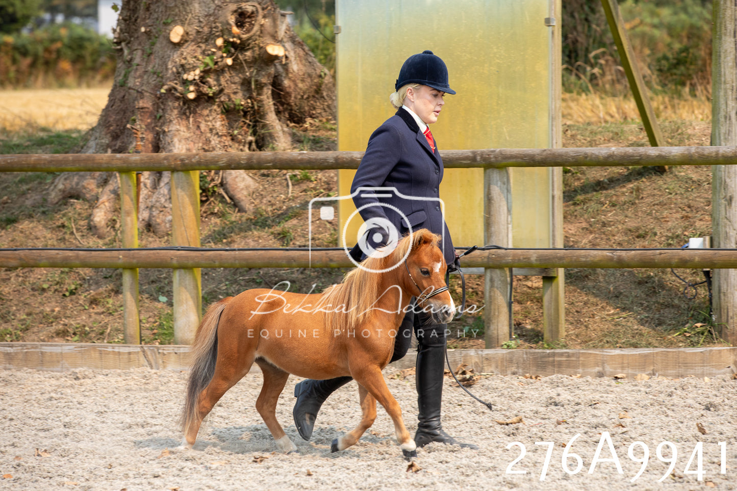 Home Farm Annual Show 2025 - Inhand Pt 2