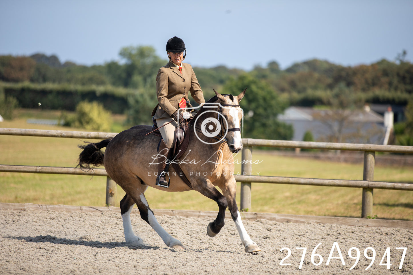 Home Farm Annual Show 2025 - Ridden Pt 2