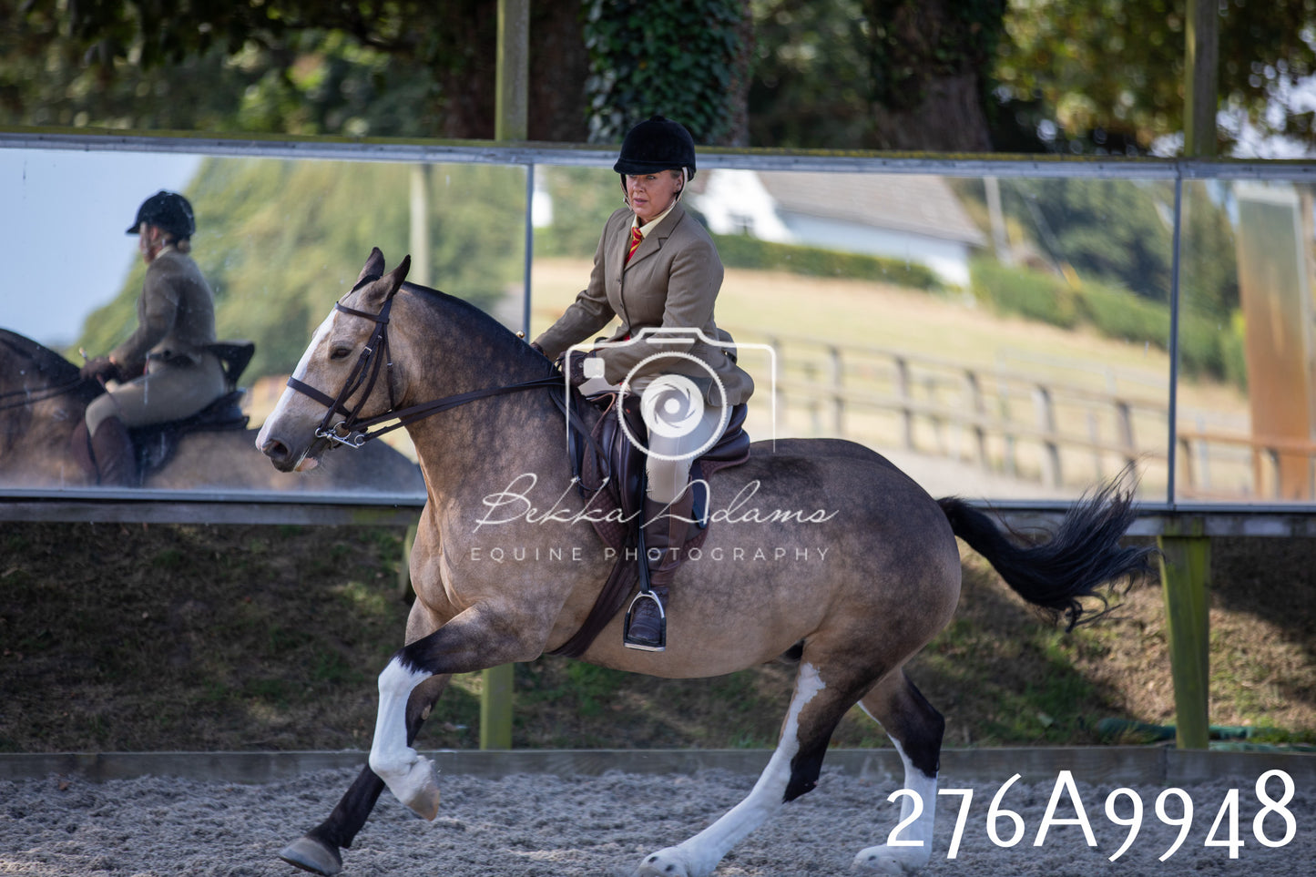 Home Farm Annual Show 2025 - Ridden Pt 2