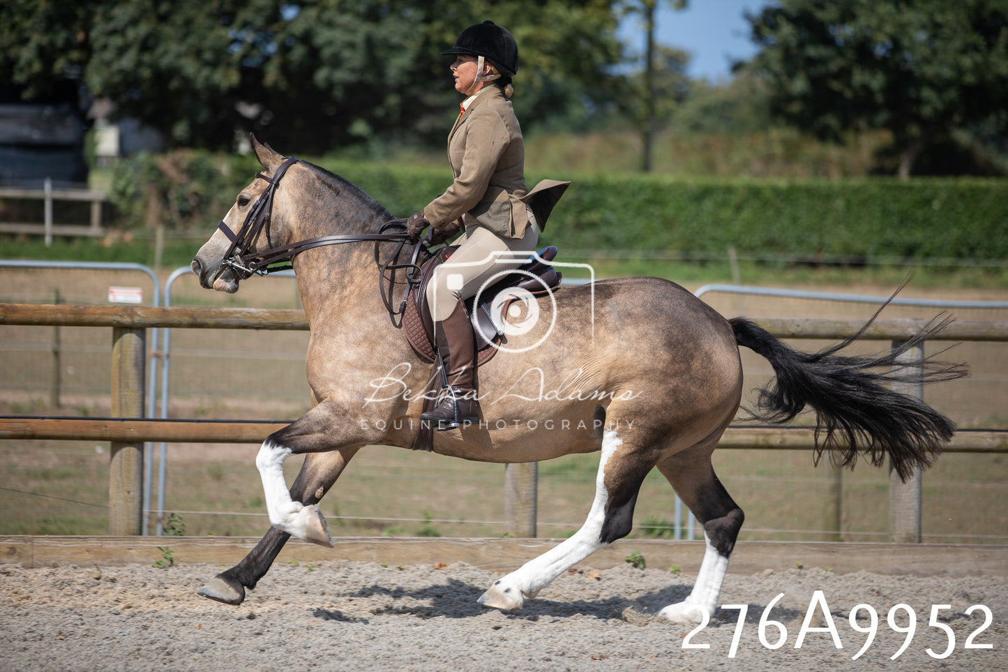 Home Farm Annual Show 2025 - Ridden Pt 2