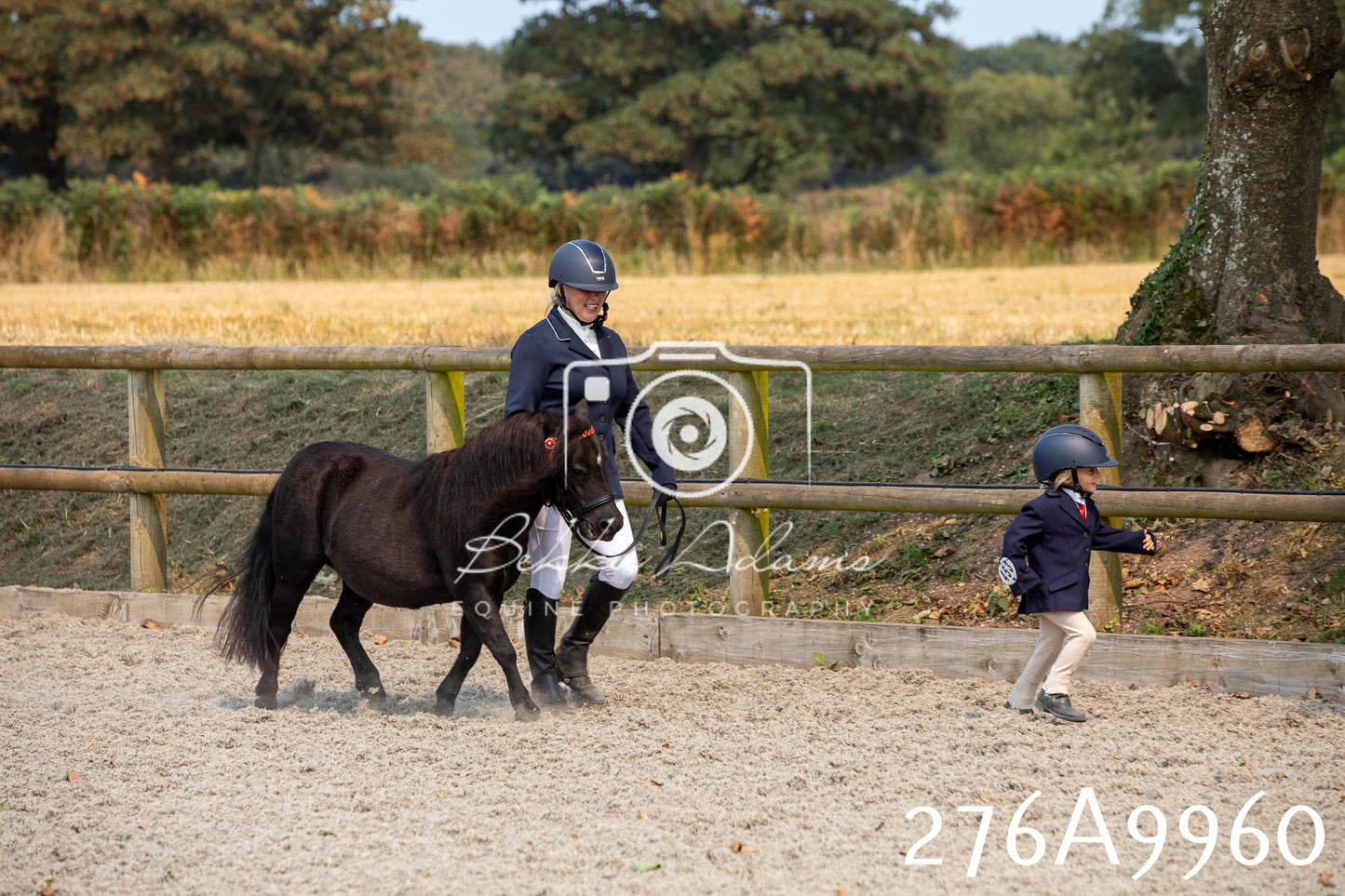 Home Farm Annual Show 2025 - Inhand Pt 2