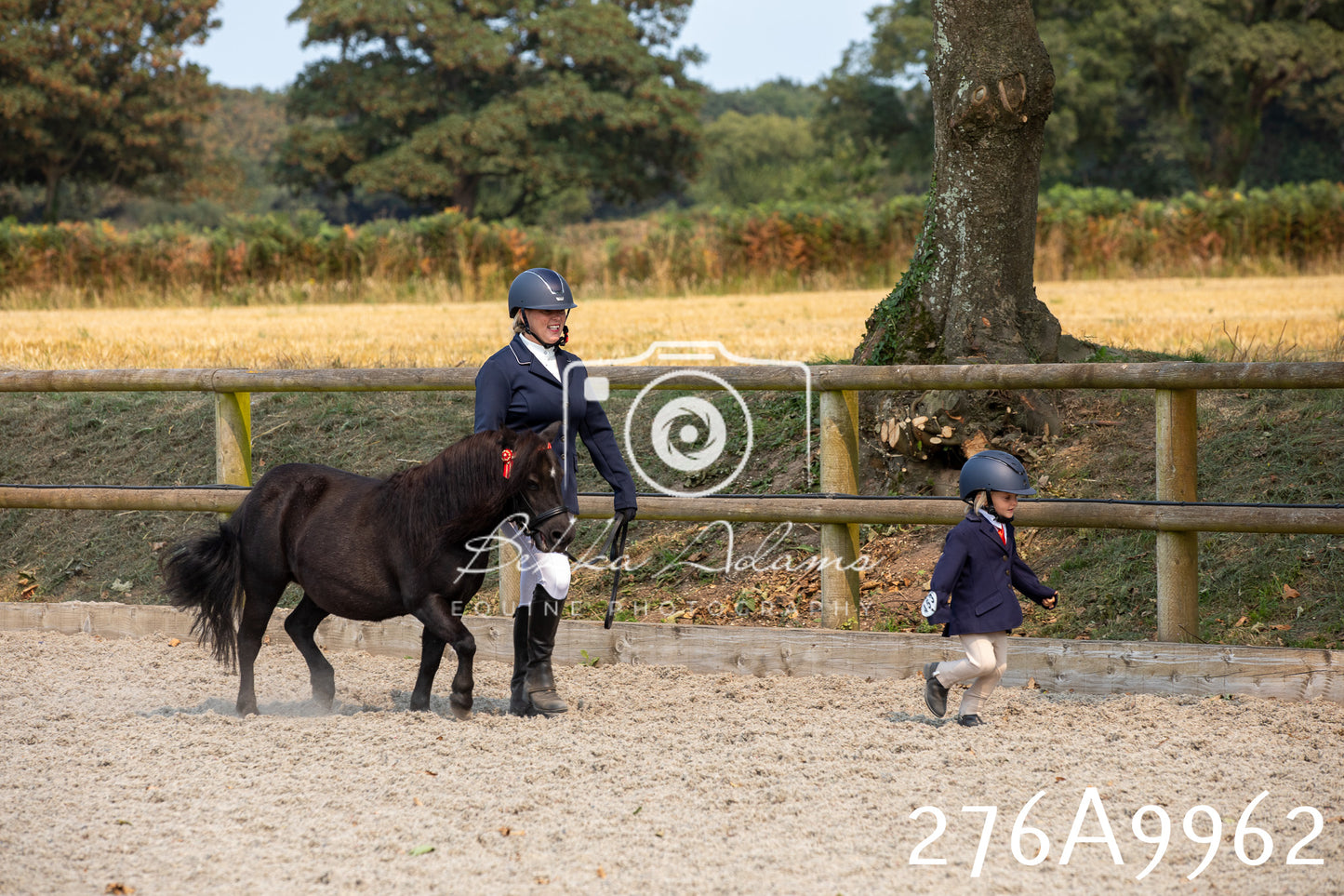 Home Farm Annual Show 2025 - Inhand Pt 2