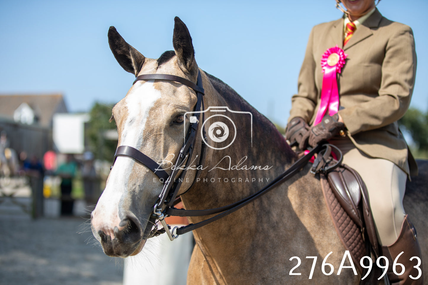 Home Farm Annual Show 2025 - Ridden Pt 2