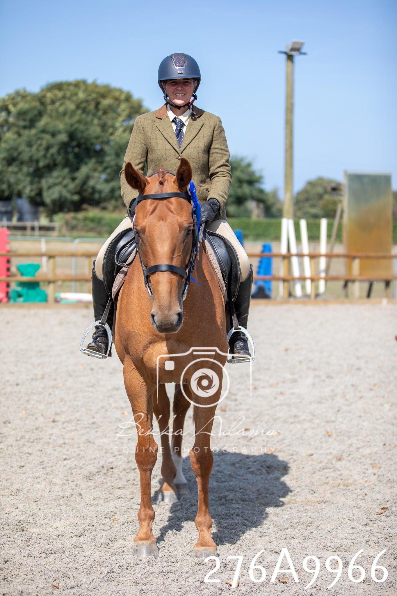 Home Farm Annual Show 2025 - Ridden Pt 2