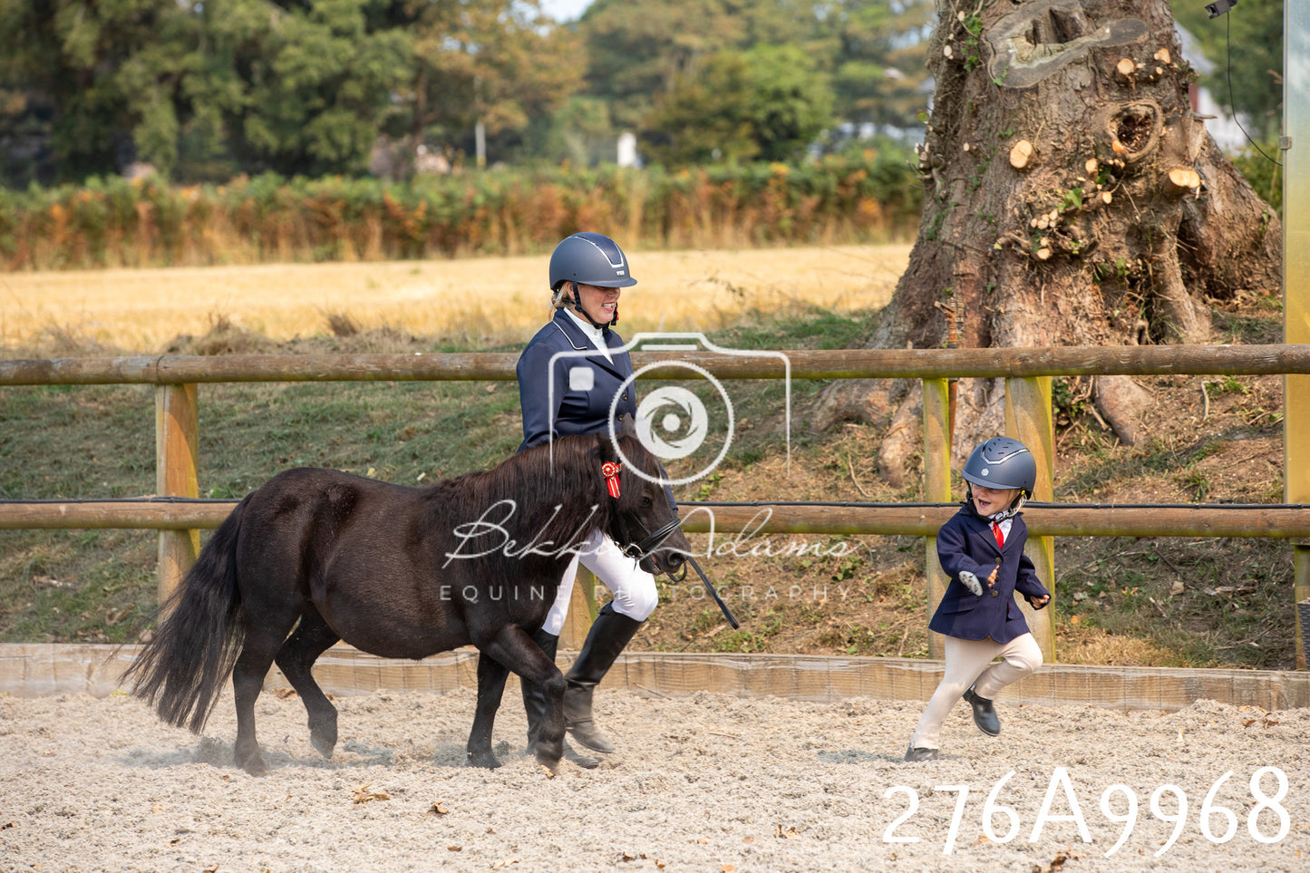 Home Farm Annual Show 2025 - Inhand Pt 2